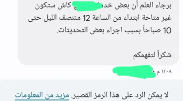 يبدأ قريبًا.. انقطاع خدمات المحافظ الإلكترونية لدى بعض شركات الهاتف المحمول لمدة 10 ساعات