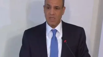 وزير الخارجية: مصر تستخدم علاقاتها مع الدول المجاورة للحد من التوتر في المنطقة