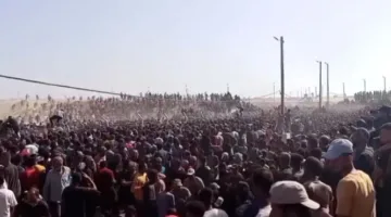 المنظمات غير الحكومية الفلسطينية: مراكز تقديم المساعدات في غزة تفتقر لأي جوانب إنسانية