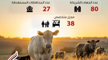 صندوق تحيا مصر يوزع لحوم الأضاحي على 1.5 مليون مستفيد من الأسر المحتاجة في جميع المحافظات.