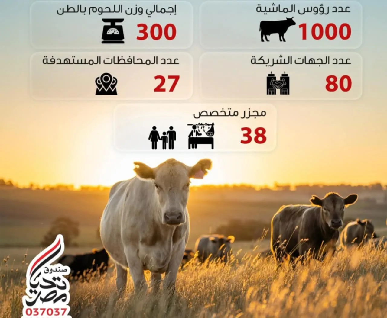 صندوق تحيا مصر يوزع لحوم الأضاحي على 1.5 مليون مستفيد من الأسر المحتاجة في جميع المحافظات. صندوق تحيا مصر يوزع لحوم الأضاحي على 1.5 مليون مستفيد من الأسر المحتاجة في جميع المحافظات.