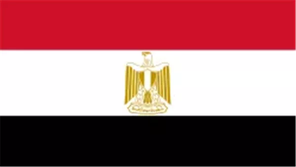 مصر اليوم: وزارة الخارجية والمهاجرين تراقب أحوال الجالية المصرية في إيران مصر اليوم: وزارة الخارجية والمهاجرين تراقب أحوال الجالية المصرية في إيران