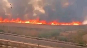 121 حريقًا خلال 15 يومًا.. صيف ناري يهدد غابات ومحاصيل تونس (حصري)