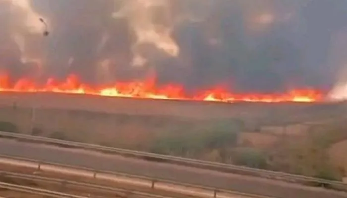 121 حريقًا خلال 15 يومًا.. صيف ناري يهدد غابات ومحاصيل تونس (حصري) 121 حريقًا خلال 15 يومًا.. صيف ناري يهدد غابات ومحاصيل تونس (حصري)