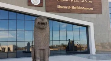 متحف شرم الشيخ يبدأ فعاليات المدرسة الصيفية ويفتح أبوابه للزوار في ثالث أيام عيد الأضحى