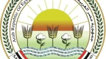 عاجل.. بعد تسجيل إصابات بالحمى القلاعية في بعض الدول.. “الزراعة” تعلن حالة تأهب قصوى