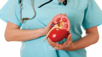 للمصابين بمشكلات الكلى: أطعمة ومشروبات صحية لطرد السموم من الجسم