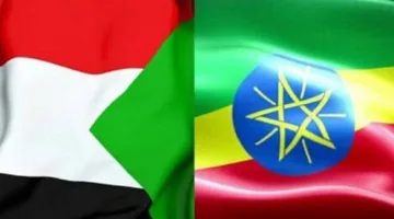 السفير الزين يلتقي بالسكرتير التنفيذي للجنة الأمم المتحدة الاقتصادية لإفريقيا في جلسة توعوية