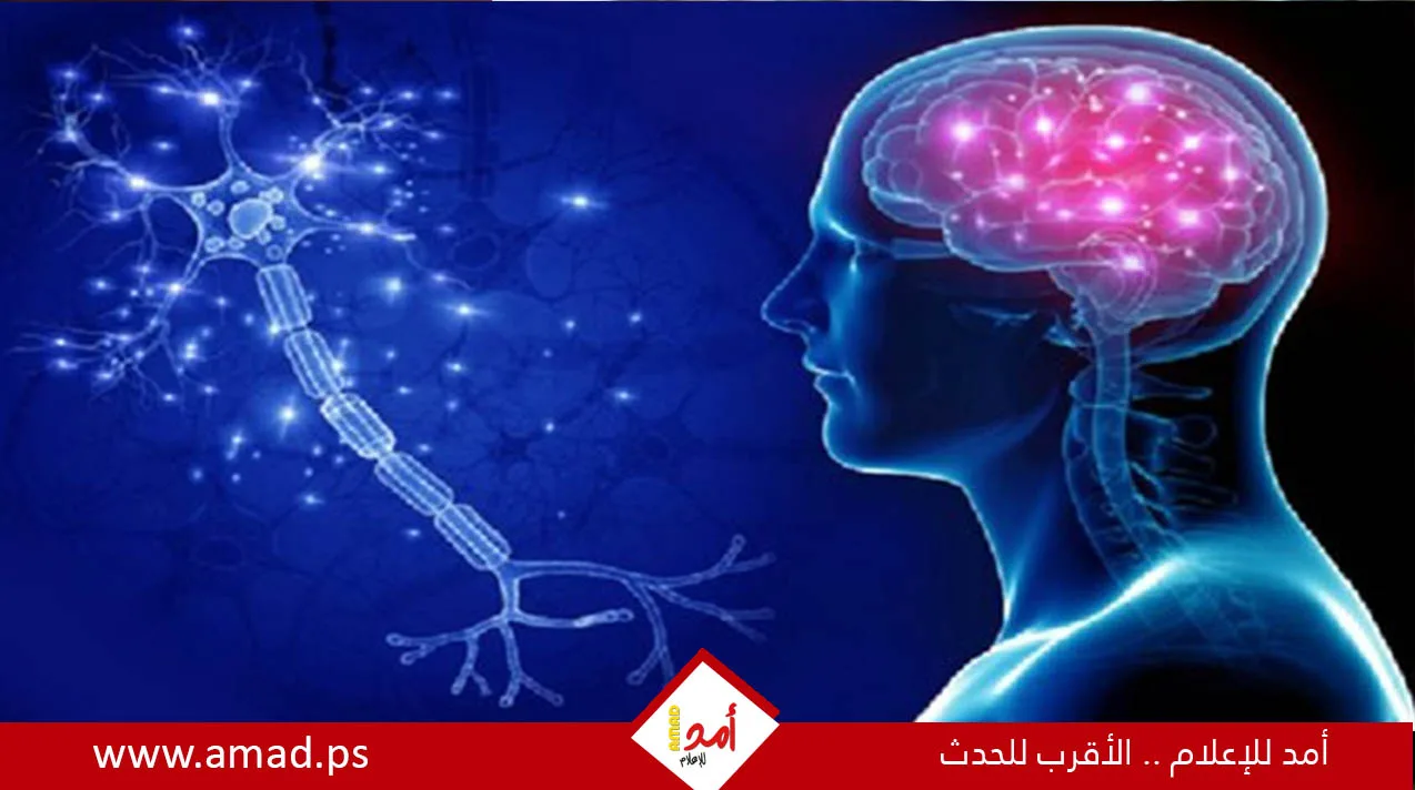 تاريخ نشأة مرض الزهايمر تاريخ نشأة مرض الزهايمر