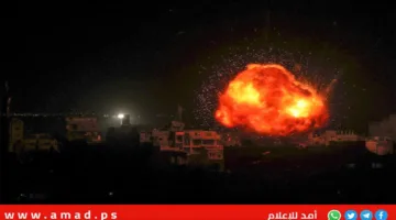 تواضروس الثاني وبابا الفاتيكان يطلبان إنهاء العدوان على غزة