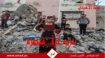 عشرات الضحايا والجرحى في غزة خلال غارات جوية مكثفة في مناطق مختلفة من القطاع.