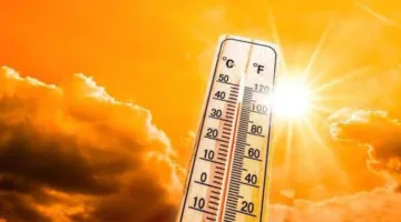 الأرصاد الجوية: طقس الثلاثاء المقبل حار جداً خلال النهار ومعتدل ليلاً.. ودرجة الحرارة العظمى في القاهرة 37ت°C