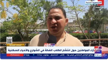 مواطنون لـ ‘إكسترا نيوز’: نرفض قتل الكلاب الشاردة وندعو لحلول إنسانية