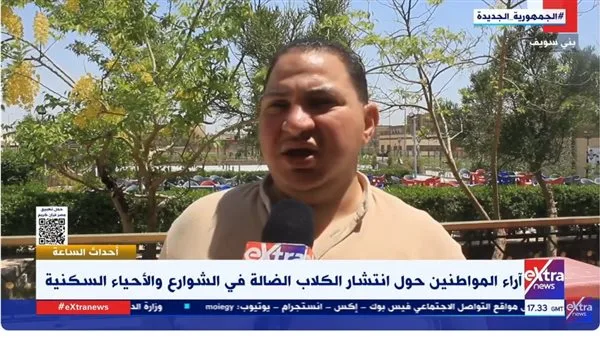 مواطنون لـ ‘إكسترا نيوز’: نرفض قتل الكلاب الشاردة وندعو لحلول إنسانية مواطنون لـ ‘إكسترا نيوز’: نرفض قتل الكلاب الشاردة وندعو لحلول إنسانية