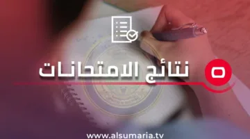 مكتب التربية في أربيل يعلن عن نتائج الصف السادس الابتدائي.