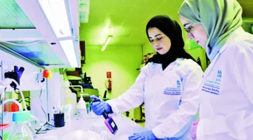 rewrite this title in other words: برنامج لتنمية المهارات البحثية للطلاب الجامعيين