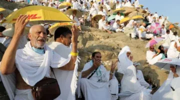خطوة بخطوة: دليل شامل لأداء مناسك الحج 2025 بالترتيب.