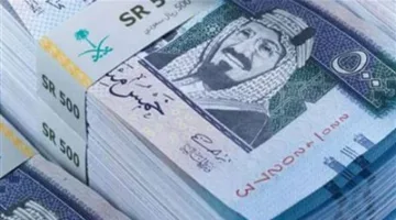 سعر الريال السعودي مقابل الجنيه المصري اليوم الأحد في البنوك المتنوعة