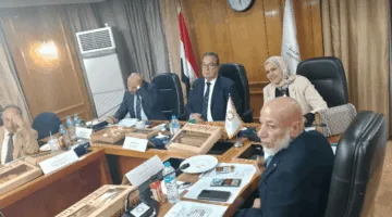 رشا عبد العال: التغلب على العقبات التي تواجه المصانع والشركات لضمان الاستفادة من الإعفاءات الضريبية الجديدة.