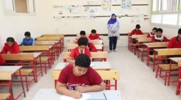 رابط الحصول على نتيجة الصف الرابع الابتدائي 2025 باستخدام الاسم ورقم الجلوس