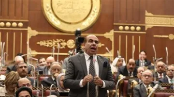 النائب ياسر الهضيبي: حماية البيئة أصبحت ضرورة ملحة وليست ترفًا
