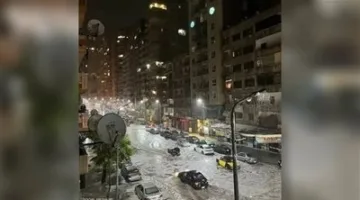 عروس البحر الأبيض المتوسط تحت تأثير التغير المناخي: عاصفة شديدة تكشف عن المخاطر في الإسكندرية