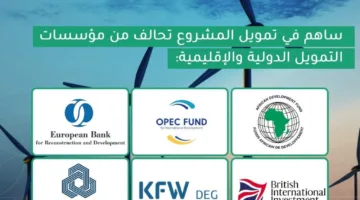 المشاط: نسعى لإضافة 10 جيجاوات من الطاقة المتجددة عبر مشاريع برنامج «نُوفّي»