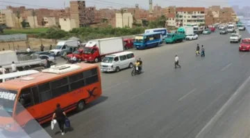 مع انطلاق التجربة الأولى للحافلة الترددية.. 4 طلبات من وزارة النقل للمواطنين