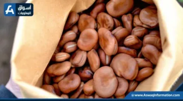 سعر الفول اليوم الأحد لدى التجار.. كم يبلغ ثمن أردب الفول البلدي؟