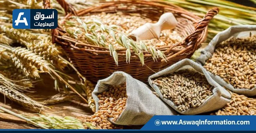 المنظمة العالمية للحبوب تزيد من توقعاتها للإنتاج والاستهلاك خلال موسم 2026