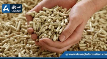 أسعار الأعلاف اليوم الأحد لدى التجار: إلى أي حد وصل سعر الطن؟