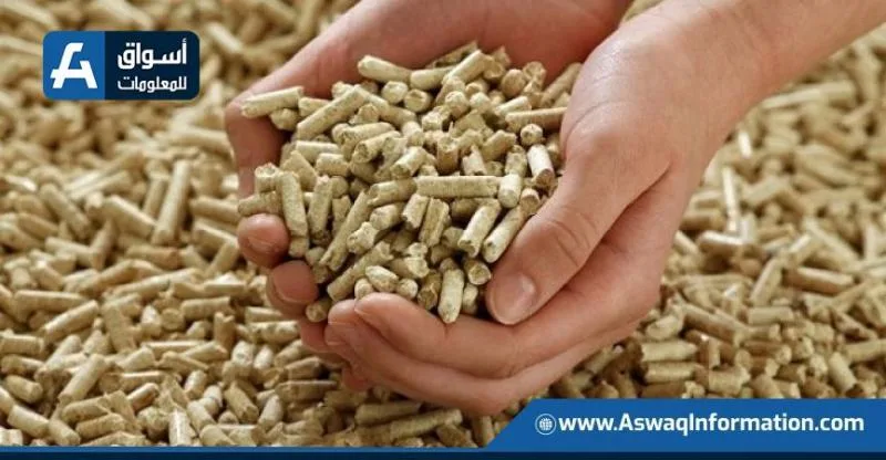 أسعار الأعلاف اليوم الأحد لدى التجار: إلى أي حد وصل سعر الطن؟