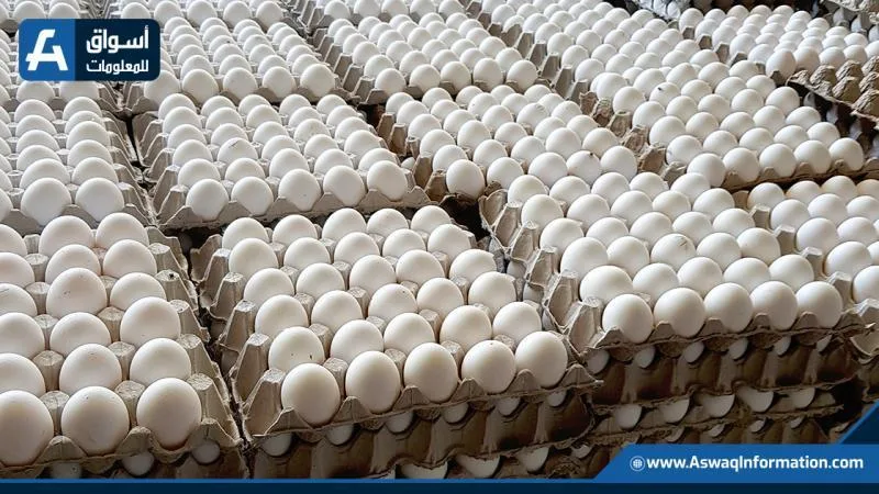 أسعار البيض في المزرعة اليوم الأحد: ما هي آخر المستجدات؟