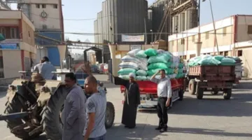 محافظ أسوان يستعرض كميات القمح الموردة لموسم الحصاد الحالي، والتي بلغت 44025 طنًا حتى الآن، مما يمثل 90% من المستهدف.