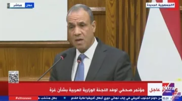 وزير الخارجية: موقف إسرائيل من دخول اللجنة العربية إلى رام الله يُظهر التعجرف والغطرسة