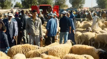 مواعيد صلاة عيد الأضحى 2025 في الجزائر وتونس والمغرب وليبيا والسودان