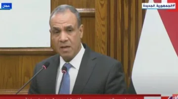 وزير الخارجية: جهود مصرية حثيثة مع قطر وأمريكا لإنهاء أعمال العنف في غزة