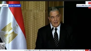 رئيس شركة بالم هيلز: «جريان» مشروع فريد يعزز مكانة مصر على الساحة العالمية