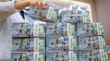 في هذا التاريخ.. الكشف عن احتياطي مصر من النقد الأجنبي