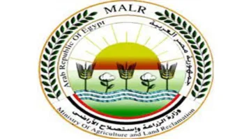 “الزراعة” تعلن حالة الاستعداد القصوى في جميع المجازر الحكومية لفحص الأضاحي قبل الذبح