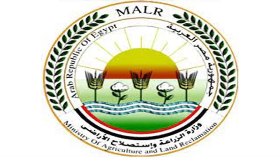 “الزراعة” تعلن حالة الاستعداد القصوى في جميع المجازر الحكومية لفحص الأضاحي قبل الذبح “الزراعة” تعلن حالة الاستعداد القصوى في جميع المجازر الحكومية لفحص الأضاحي قبل الذبح