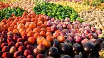 ارتفاع غير مسبوق في صادرات القطاع الزراعي.. الحمضيات والبطاطس في المقدمة