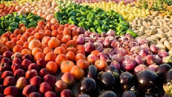 ارتفاع غير مسبوق في صادرات القطاع الزراعي.. الحمضيات والبطاطس في المقدمة ارتفاع غير مسبوق في صادرات القطاع الزراعي.. الحمضيات والبطاطس في المقدمة