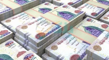 قرض بدون فوائد يصل إلى 50 ألف جنيه لهذه الفئات المحددة