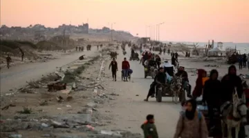 أستاذ في العلاقات الدولية: إسرائيل تروج لليأس بين الفلسطينيين بهدف دفعهم نحو الموت أو التهجير
