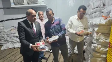 صور: ضبط مواد غذائية ومجمدات منتهية الصلاحية في الأقصر