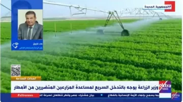 وزير الزراعة: المحاصيل لم تتعرض لخسائر جسيمة بسبب الأمطار والفيضانات