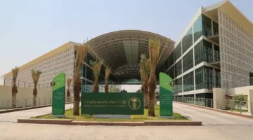 نجاح تجاري لتجربة حصاد ثلاثة أنواع محسنة من القمح المحلي