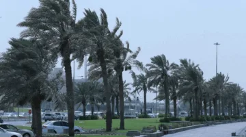 الأرصاد الجوية تنبه من عواصف رياح شديدة على الساحل وفي عمق البحر