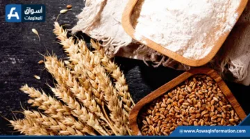 زيادة في الأسعار: تكلفة الدقيق اليوم الإثنين لدى التجار